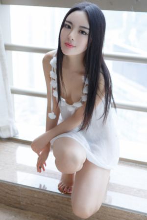 会长是女仆大人免费观看完整版