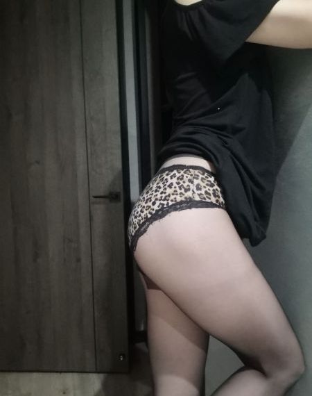 驯龙高手4
