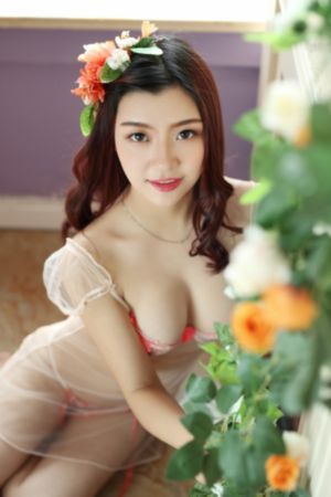 善良的女秘书的目的在线免费观看