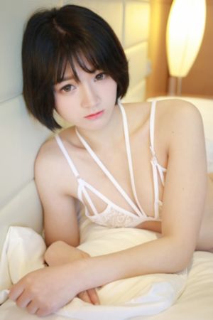 电视剧爱无悔全集免费观看