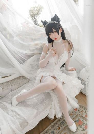 辽沈战役完整版免费