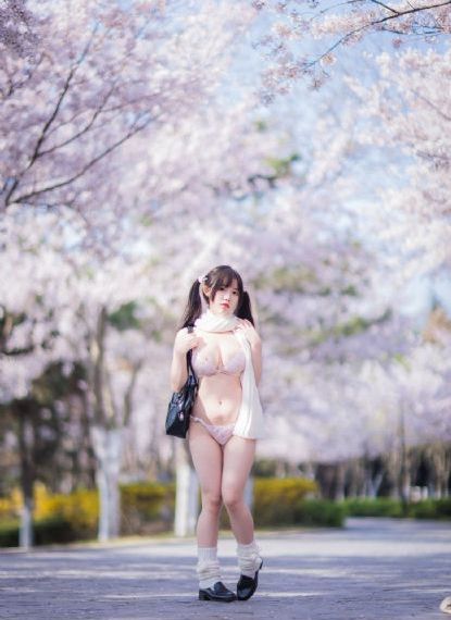 珠帘玉幕电视剧免费在线观看