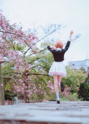 胡狼来了